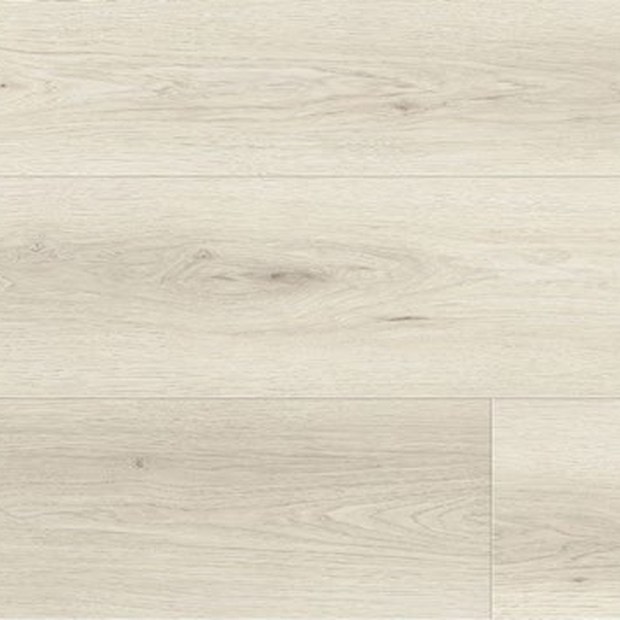 Seashell Oak KV-404 decor
